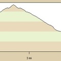 Elevation profile of short Cornfield Spring Road day hike, Mojave National Preserve (Day 2)
