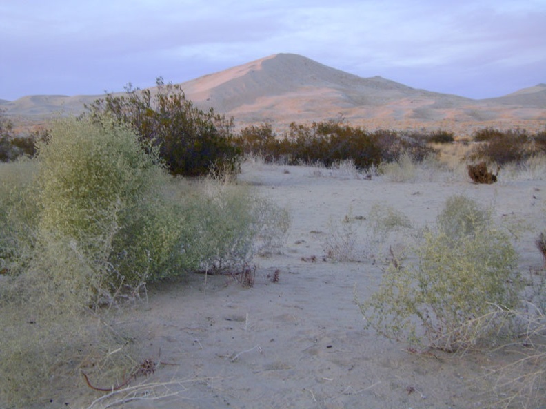 One possibility is to stash my bike behind a creosote bush and walk my belongings into the adjacent Wilderness area