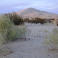 One possibility is to stash my bike behind a creosote bush and walk my belongings into the adjacent Wilderness area