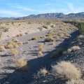 I dip down into another drainage wash while walking across the alluvial fan of the Bristol Mountains