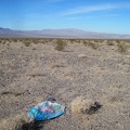 Oh, another lost balloon in a wilderness area...