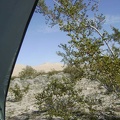 Awake, I peer out the back of my tent to see a sunny day, Kelso Dunes, and a creosote bush poking me in the face