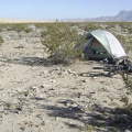 Large dry clumps of animal dung are everywhere around my tent