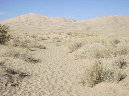 I begin the walk toward Kelso Dunes