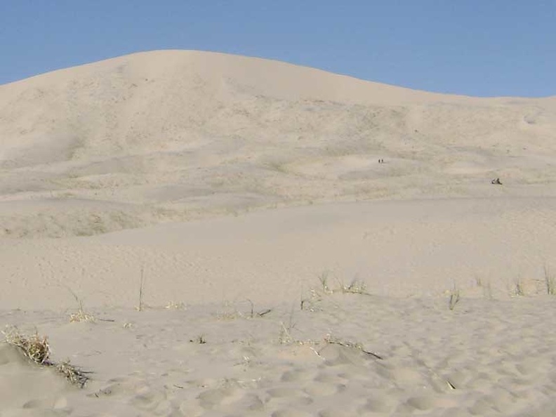 07099-kelso-dunes-people-800px.jpg