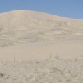 There are a number of people hiking Kelso Dunes today