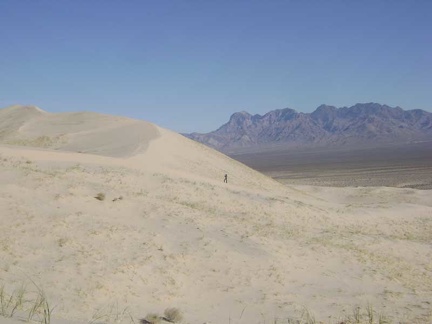 The Kelso Dunes sand is soft, and one does sink in with each footstep, but it's not as difficult as I thought it might be