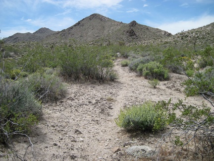 I pick up an animal trail leading toward Kelso Peak after the old 4WD road fizzles out