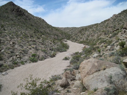 I arrive at the unnamed wash leading into the Kelso Mountains which I had targeted on my maps and GPS