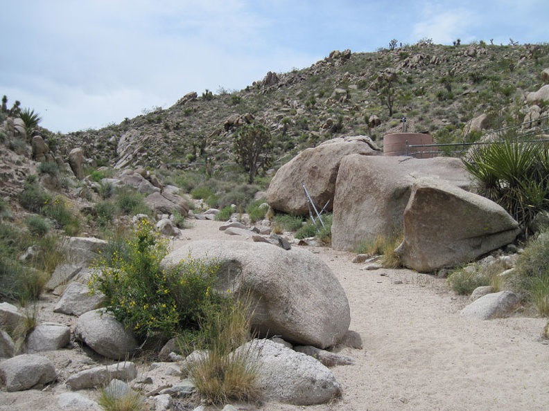 To my surprise, I come across a rather large guzzler installation in this wash in the Kelso Mountains