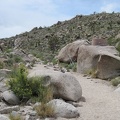 To my surprise, I come across a rather large guzzler installation in this wash in the Kelso Mountains