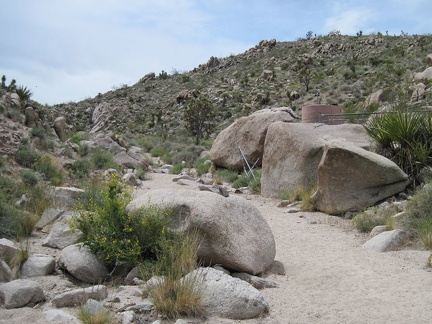 To my surprise, I come across a rather large guzzler installation in this wash in the Kelso Mountains