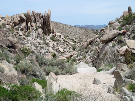 The rock formations in the upper part of this wash in the Kelso Mountains are quite interesting