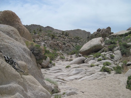 As I head toward Kelso Peak, it's clear from the smoothed rock in the wash that a lot of water passes here at times