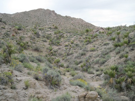 The wash fizzles out, and now I'm on the foothills of Kelso Peak