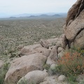&quot;So far, so good,&quot; I say to myself as I stop to enjoy a desert mallow and the views; I keep climbing