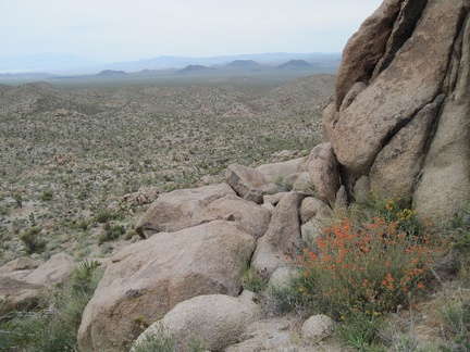 &quot;So far, so good,&quot; I say to myself as I stop to enjoy a desert mallow and the views; I keep climbing