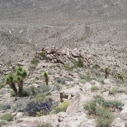 Day 2: Kelso Peak hike, Kelso Mountains, Mojave National Preserve
