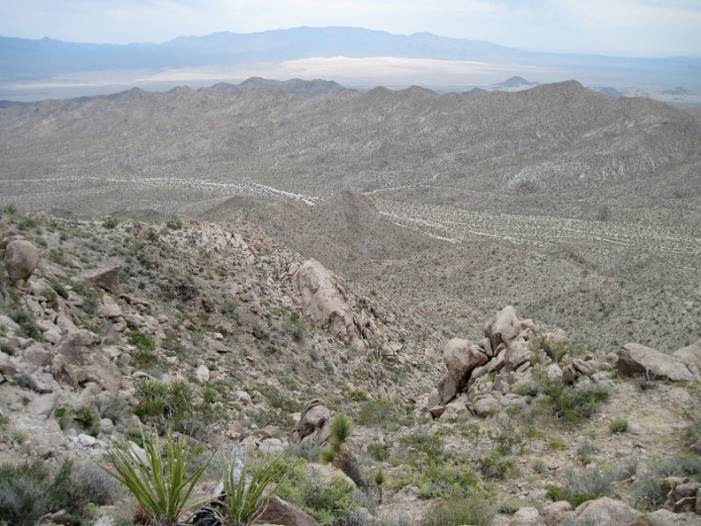 A few large rocks are blocking my ascent onto the ridge, so I slowly move across the slope in case there's an easy way up