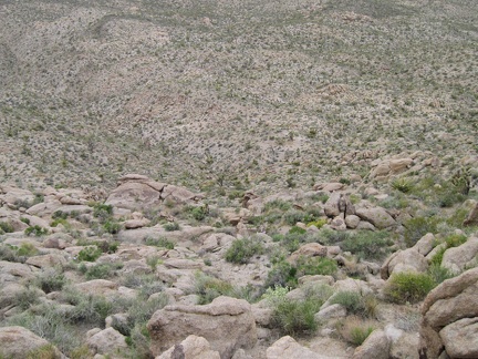 The larger rocks on this part of the Kelso Peak slope make for a descent with better footing than I had on the way up