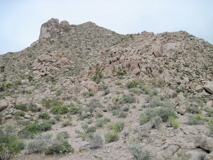 Looking back at the Kelso Peak hillside that I just descended