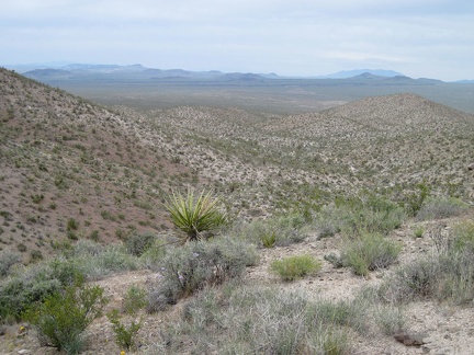 I hike over several hills before choosing a wash for descending back down toward my tent