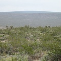 The gently curved crest of Cima Dome is visible in the distance from parts of this wash