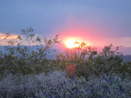 I catch a final glimpse of the ball of fire before it drops down behind the distant mountains