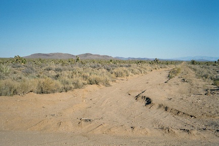 Cedar Canyon Road crosses the historic Old Mojave Road