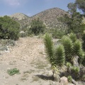 First, I go for a short walk around my Keystone Canyon campsite