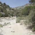 The road shares Keystone Canyon with a wash and crosses it several times