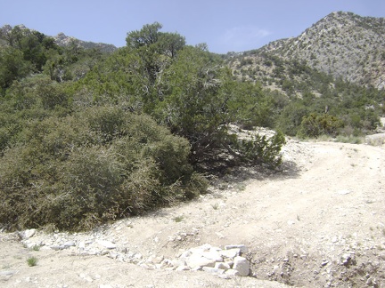 Road users have placed rocks in this gully to facilitate passage over it