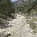 I'm delighted to discover the moist remnants of a recent trickle of water in the middle of the road