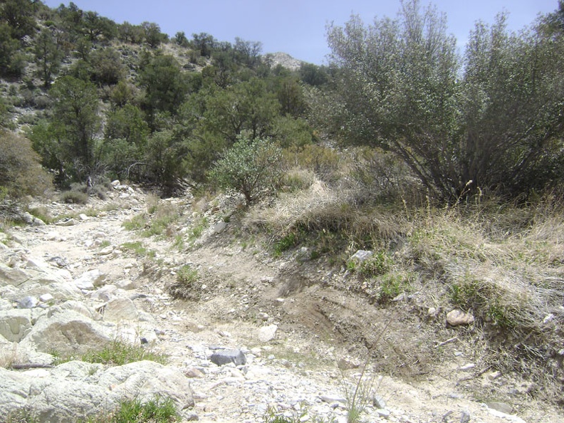 The road is almost non-existent in this part of Keystone Canyon