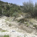 The road is almost non-existent in this part of Keystone Canyon