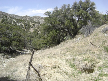 Further up the meadow, I reach a hole filled with water