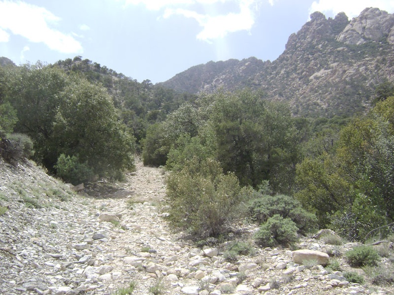 My water supply refilled, I walk back down the hill from Keystone Spring and hike up the road toward New York Mountain