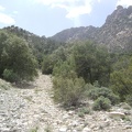 My water supply refilled, I walk back down the hill from Keystone Spring and hike up the road toward New York Mountain