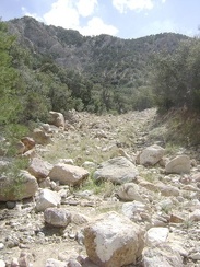 I continue hiking up what's left of the old road up Keystone Canyon