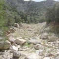 I continue hiking up what's left of the old road up Keystone Canyon