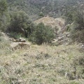 I get my first view of the old mine site at the bottom of New York Mountain