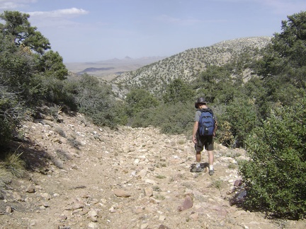 I start the walk back down the old road to my campsite at the bottom of Keystone Canyon