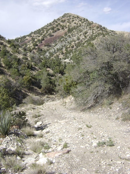 The road in Keystone Canyon descends a little more