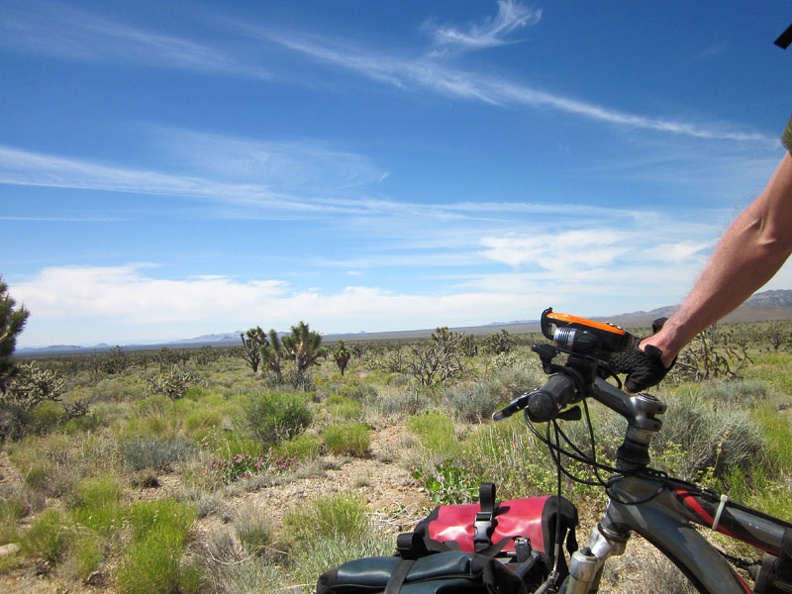 Today's ride will be to the other side of Lanfair Valley, roughly as far as the eye can see here