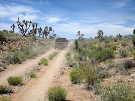 I have a slight headwind, so I don't hear the six 4WD vehicles sneaking up behind me on the Barnwell-Searchlight railway grade