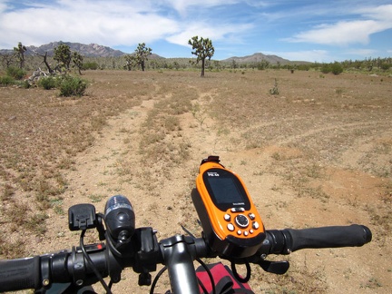 After 3 miles on the Barnwell-Searchlight railway grade, it ends by an open area, where the next road on my route should begin