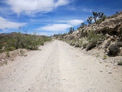 Hart Mine Road is a rough dirt road that rises about 250 feet in 2.5 miles on my detour route via Barnwell