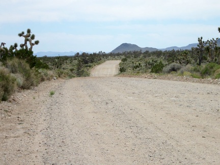 Ivanpah Road rides ever so slightly downhill across Lanfair Valley