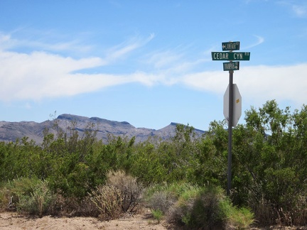 The junction of Ivanpah Road and Cedar Canyon Road is my low point of the day, at about 4050 feet elevation
