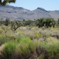 I can zoom in for good views of the Hackberry Mountains while riding Cedar Canyon Road